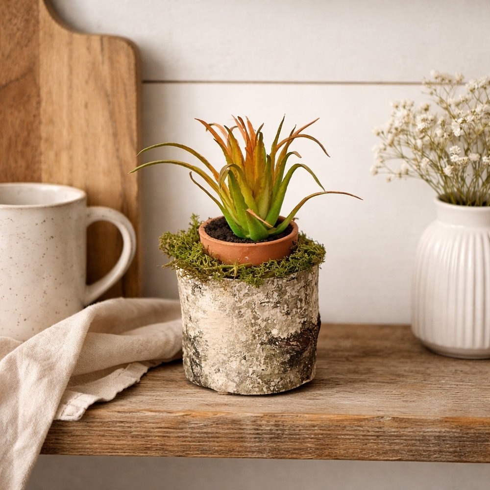Handmade Artificial Succulent in Birch Log with Moss Rustic Woodland Home Decor